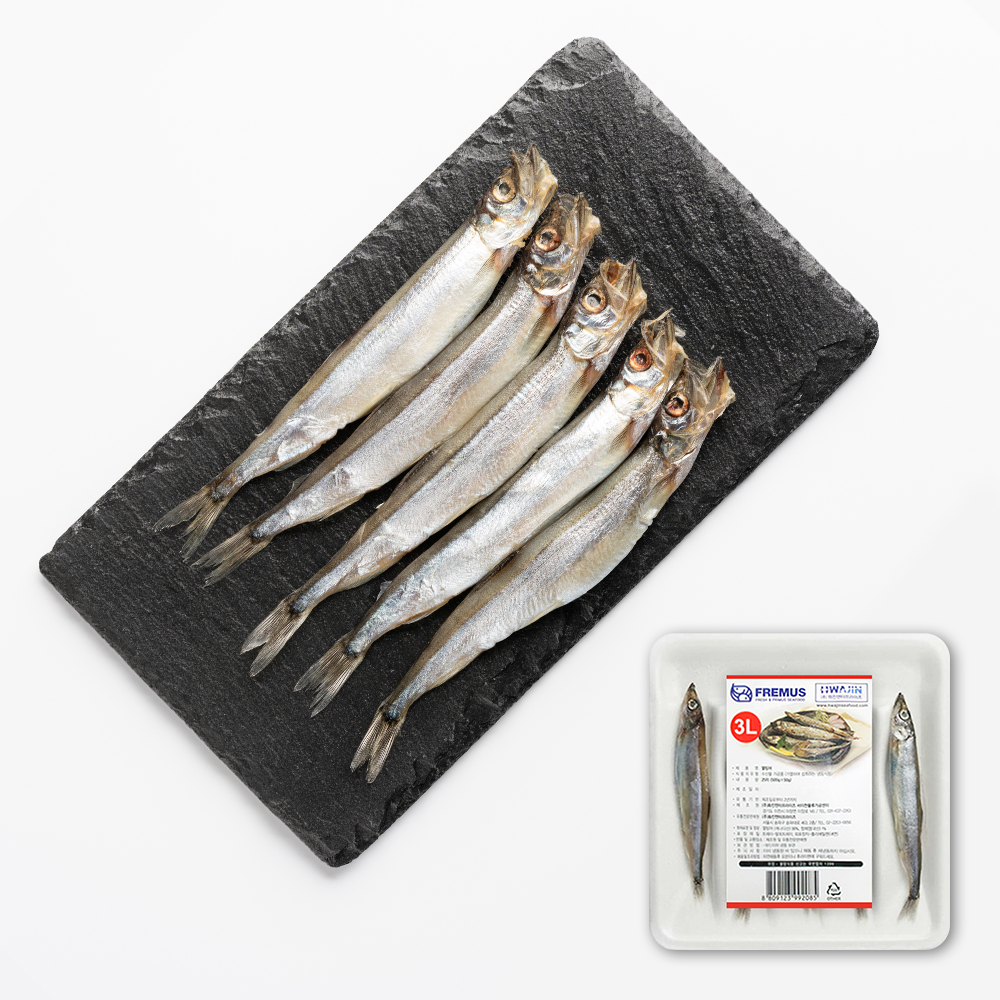 ����Ʈ ������ �̹���